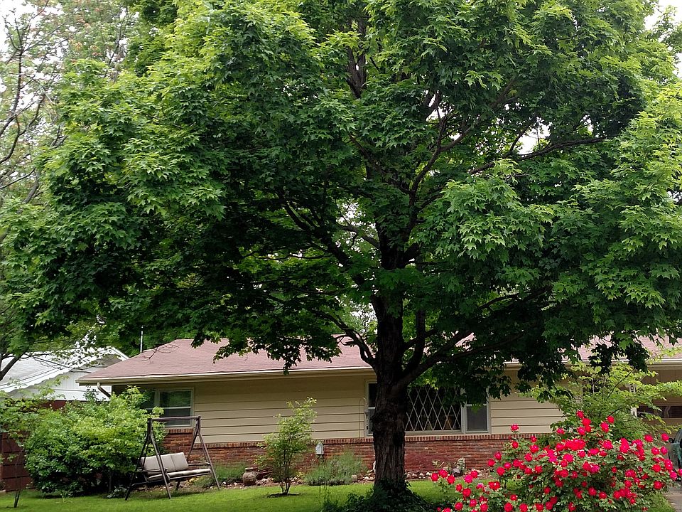 Beautiful Home and Yard