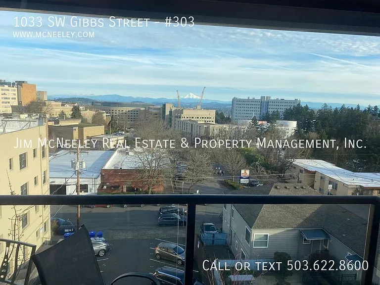 1033 SW Gibbs St #303 — Photo 18