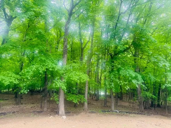 25725 Birch Bluff Rd, Shorewood, MN 55331