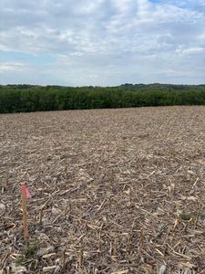 Lot 53 Roma Street, Eau Claire, WI, 54701
