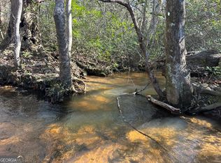 69 S Mount Sinai Church Rd, Butler, GA 31006