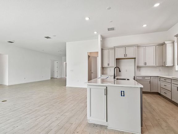Luxurious Stone Gray Cabinets and Upgraded Quartz Countertops