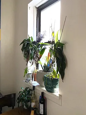 Rented by Utstein Properties | media 25