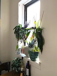 Rented by Utstein Properties