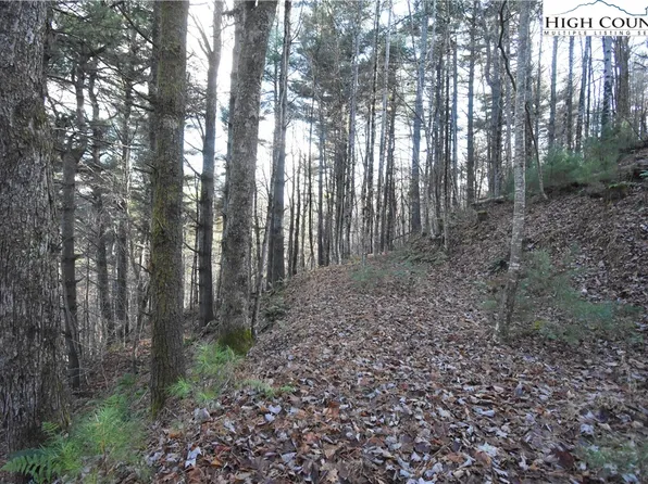 TBD Selma Circle, Boone, NC 28607