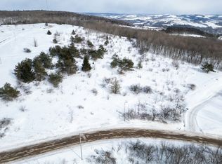 Cook Hill Rd LOT 20, Herkimer, NY 13350