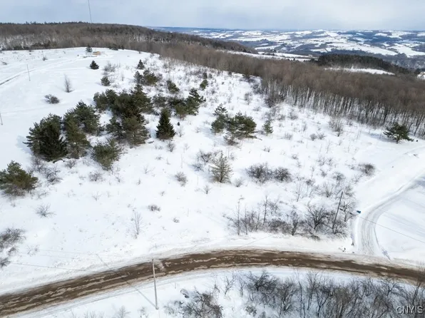 Cook Hill Rd Lot 20, Herkimer, NY 13350