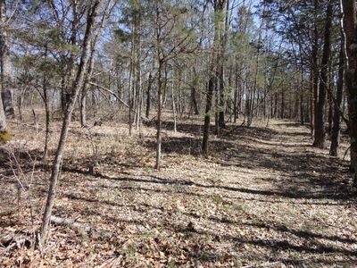 64 Acres Sandstone Ln, Glasgow, VA, 24555