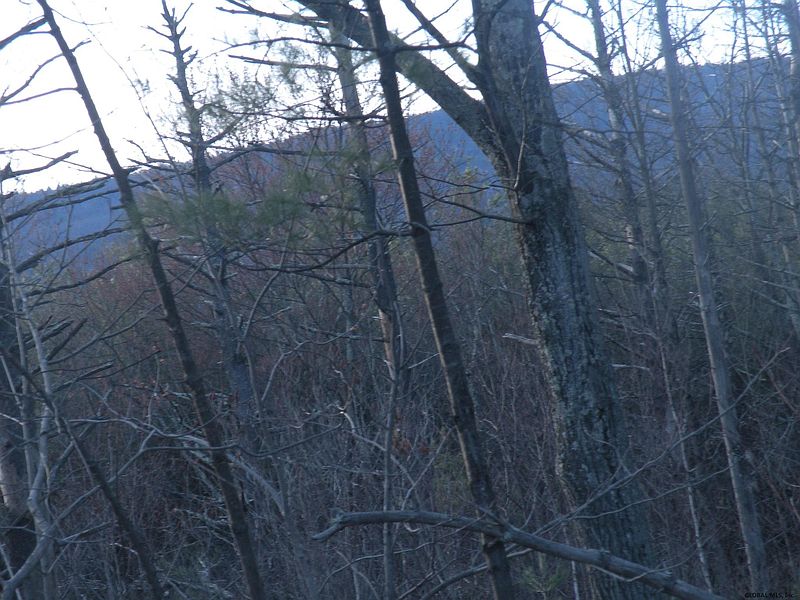5th image of ROUTE 23A