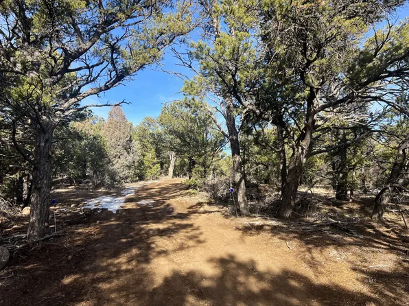 0 6th Trl, Cotopaxi, CO 81223