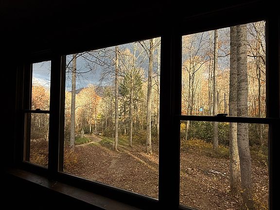 View from living room