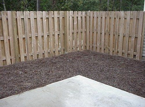 Back Before Landscaping