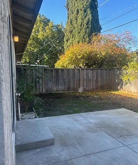 back yard