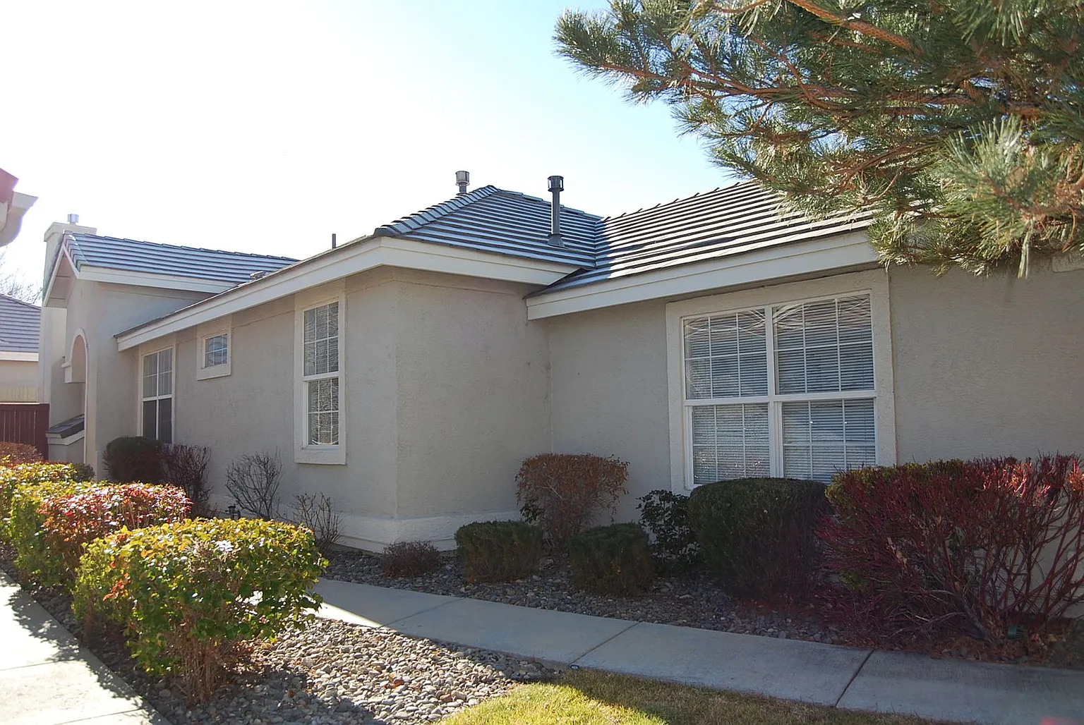 1162 Tule Dr photo 1