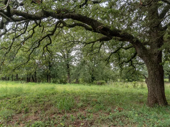 T4 Coleman Ranch Rd, Tolar, TX 76476