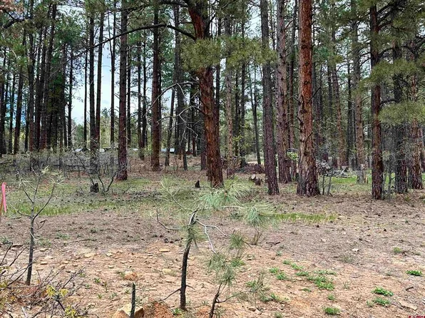 63 Spruce Way, Bayfield, CO 81122