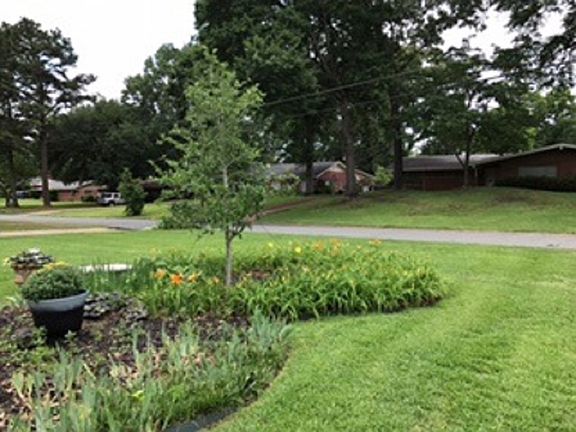 4th image of 741 Neal Dr