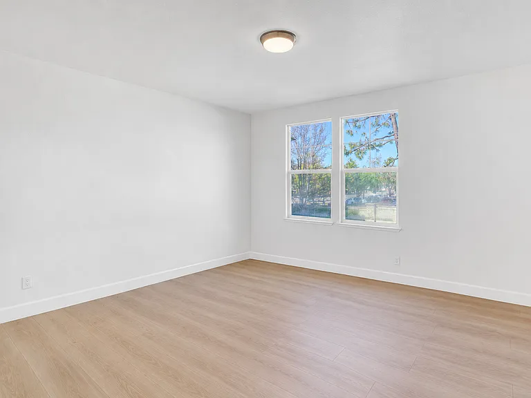 36083 Soapberry Cmn #12 — Photo 12