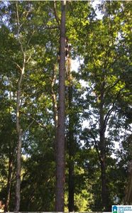 0 Lakeview Poin #53, Riverside, AL, 35135