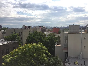 Rented by P Management