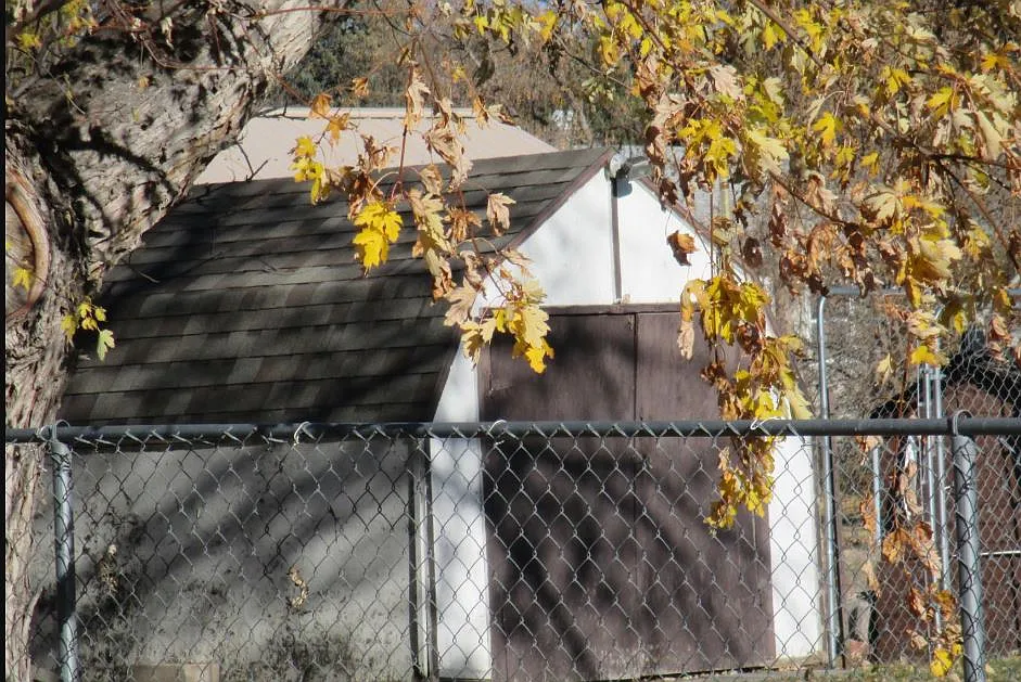 3 bed, 1384 sqft, $1,200 — Photo 4