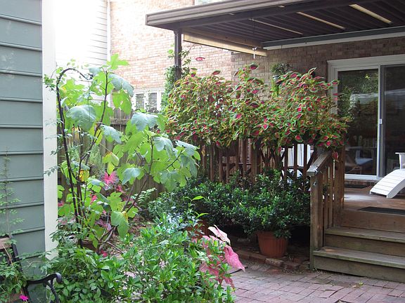 A place to garden