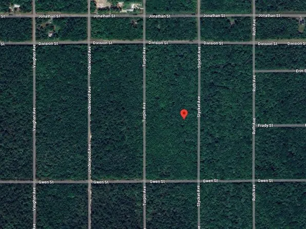 Stycket Ave Lot 227, Hastings, FL 32145