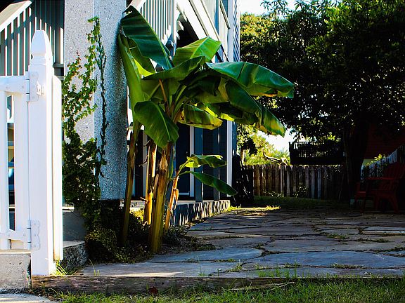 Lovely lush garden yard fully fenced in.