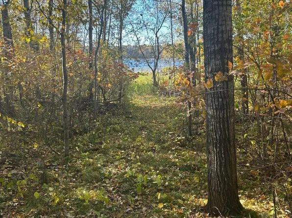39 Osage Dr, Browerville, MN 56438