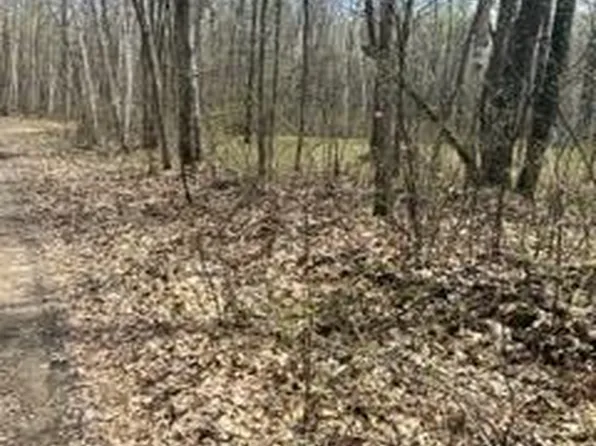 Opal Ln, Cushing, MN 56443