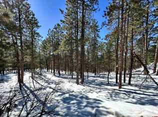 324 Hilltop Dr, Bayfield, CO 81122
