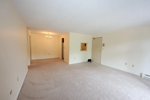 65 Elmwood Park #3 — Photo 15