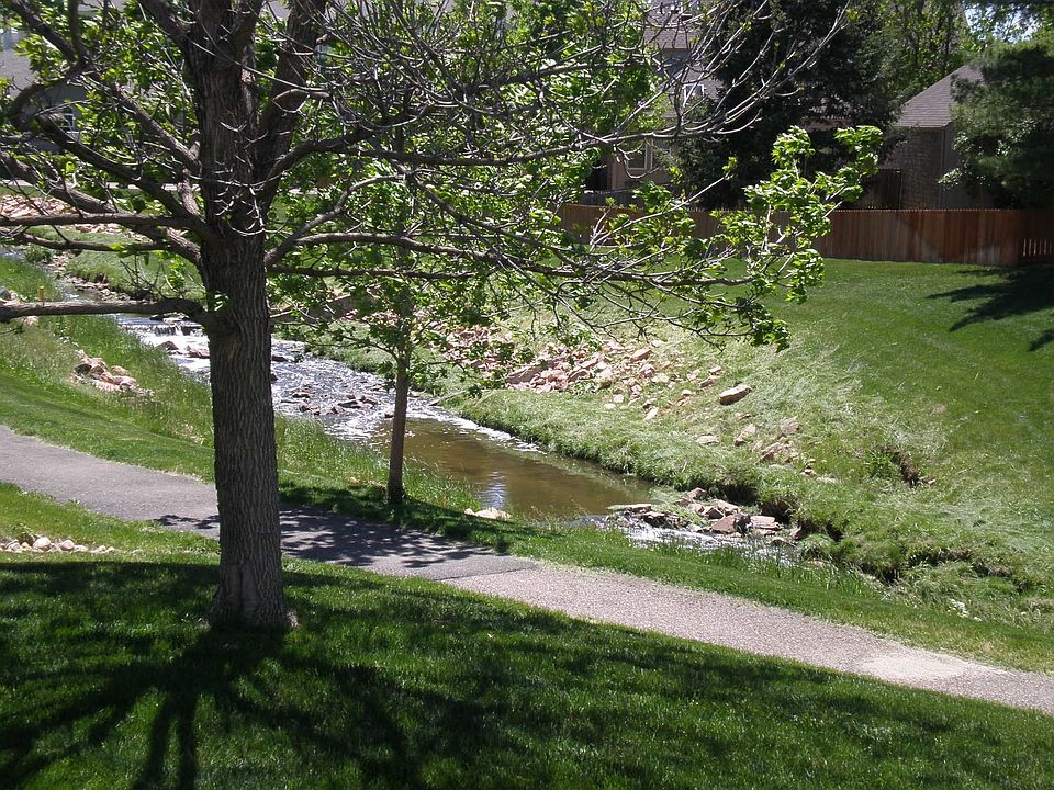 View from Deck