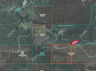 Off Cr Rd #557-40, Arnold, MI 49819