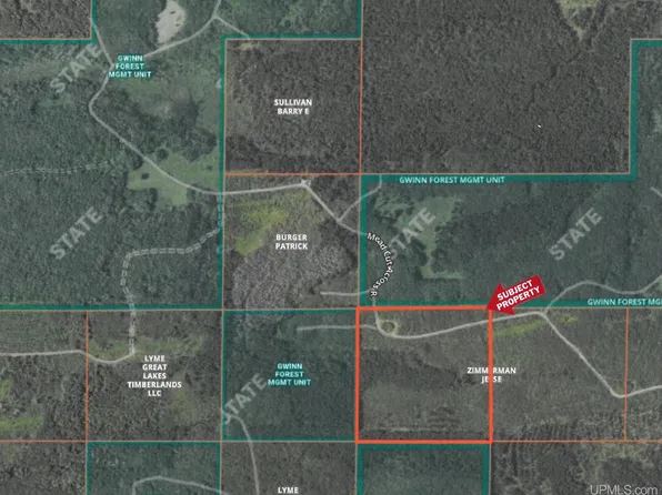 Off Cr Rd #557-40, Arnold, MI 49819