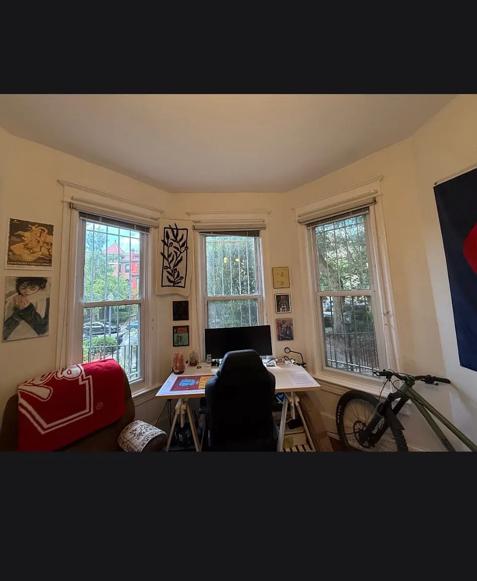 1 bed, 270 sqft, $1,500 — Photo 3