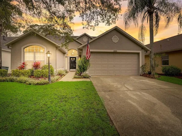 12405 Glenfield Ave, Tampa, FL 33626