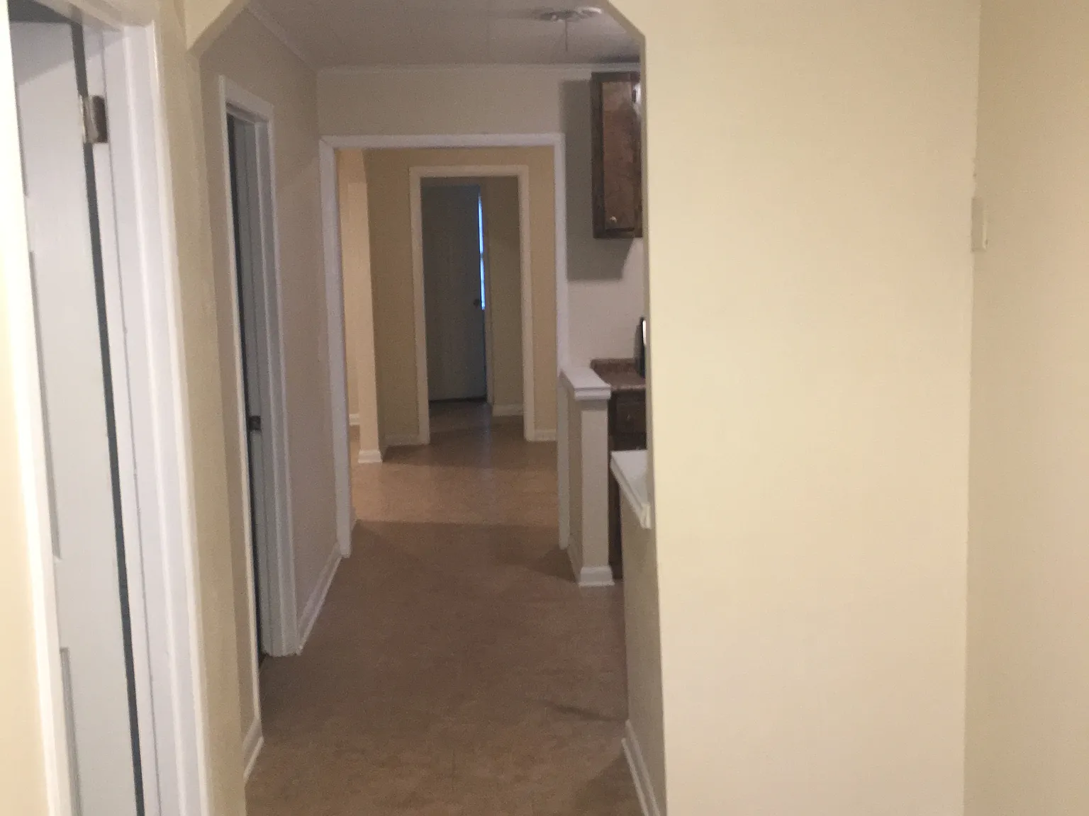 4 bed, 1264 sqft, $1,500 — Photo 3