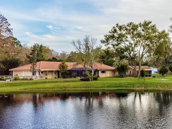 9425 Tarpon Springs Rd, Odessa, FL 33556