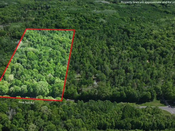 PARCEL E Free Soil Rd #C, Free Soil, MI 49411
