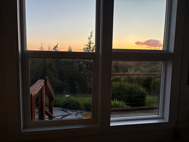 Looking out studio window