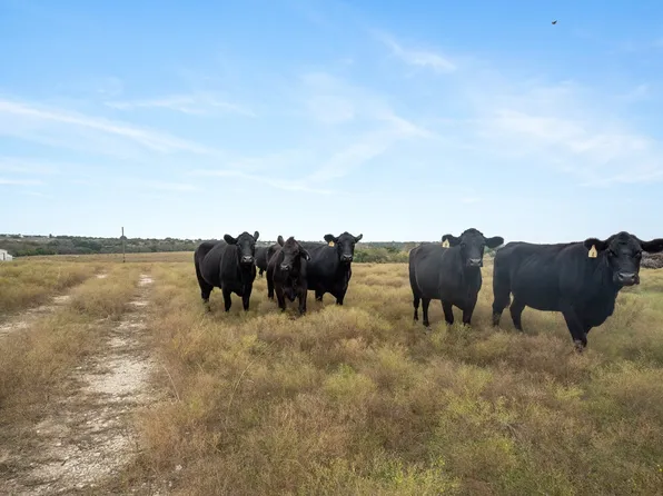 7307 Boswell Ct, Lipan, TX 76462