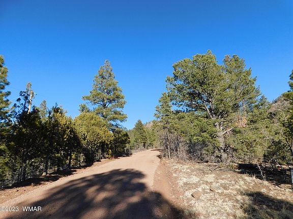 LOT 36 Noble Mountain Ests, Nutrioso, AZ 85932 | MLS #244979 | Zillow