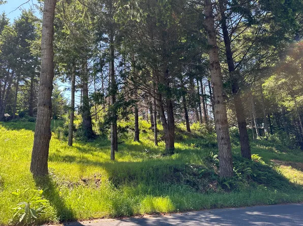 202 Beach Rd, Whitethorn, CA 95589