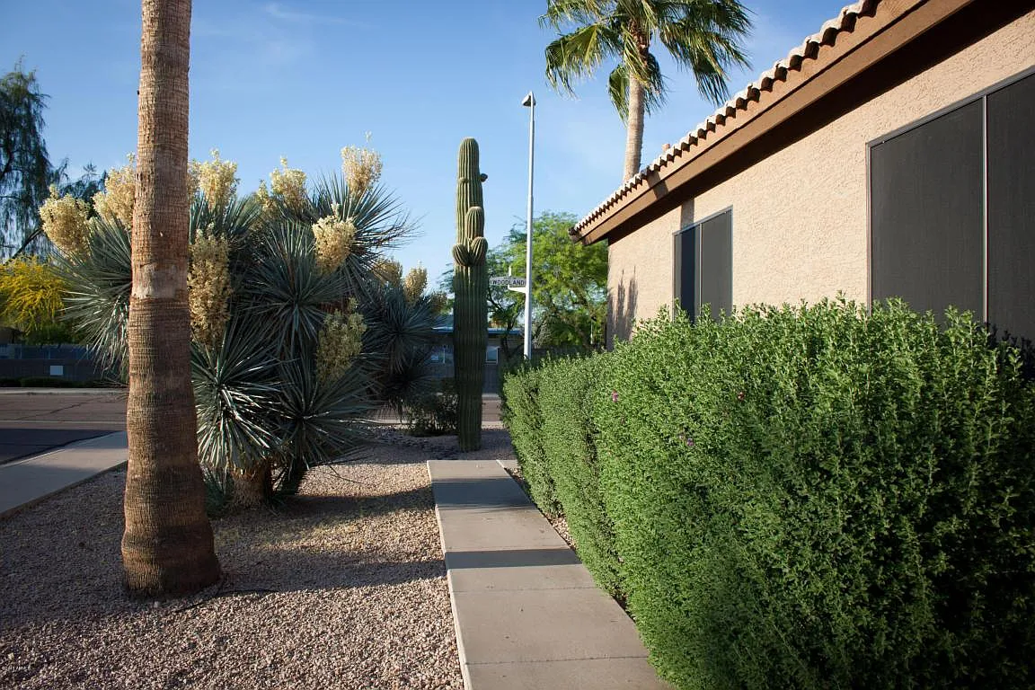 3 bed, 1508 sqft, $2,650 — Photo 2