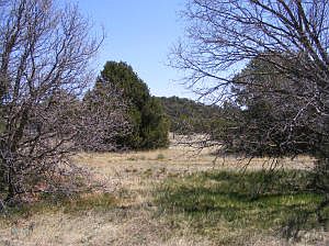 5th image of 18 Quail Hollow Dr