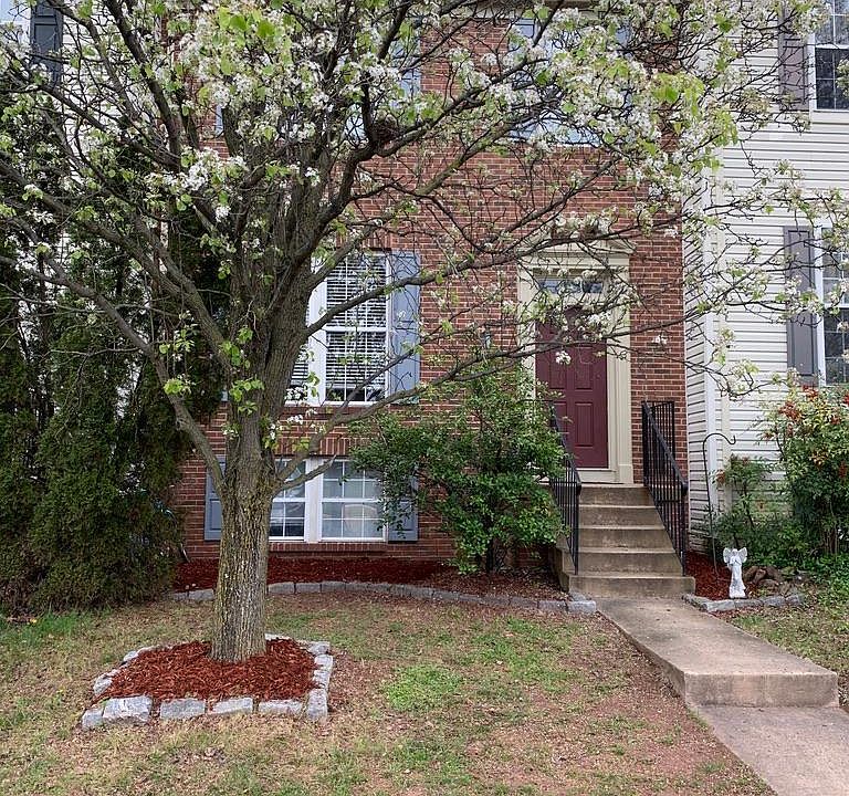1st image of 43347 Chokeberry Sq