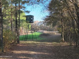 Paradise Rd, Bentonia, MS 39040