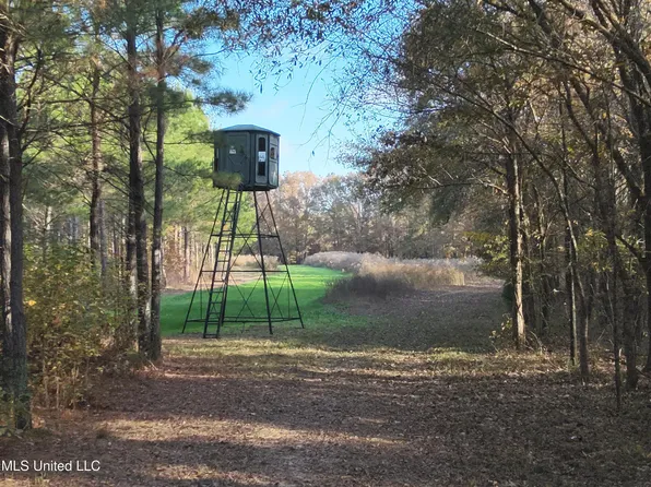 Paradise Rd, Bentonia, MS 39040