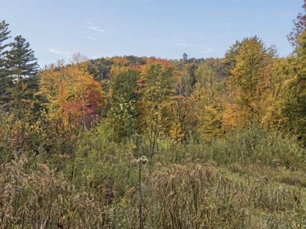 TBD Jericho Road, Richmond, VT 05477